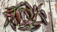 Bih Jolokia Black - Pepper Seeds - White Hot Peppers